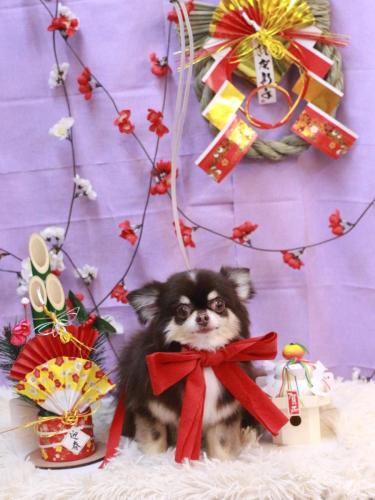 20230125ラブちゃん